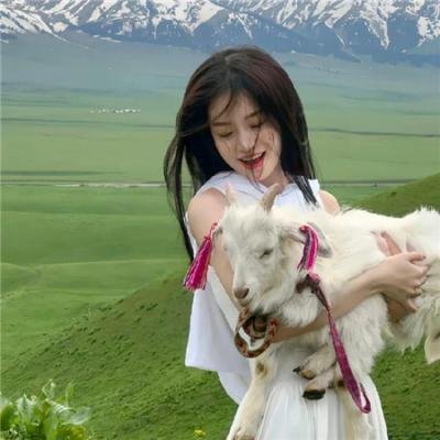 狐狸猎手